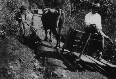 Routh's Go-Way Cart